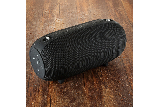 Portable speaker with 40 W power bank